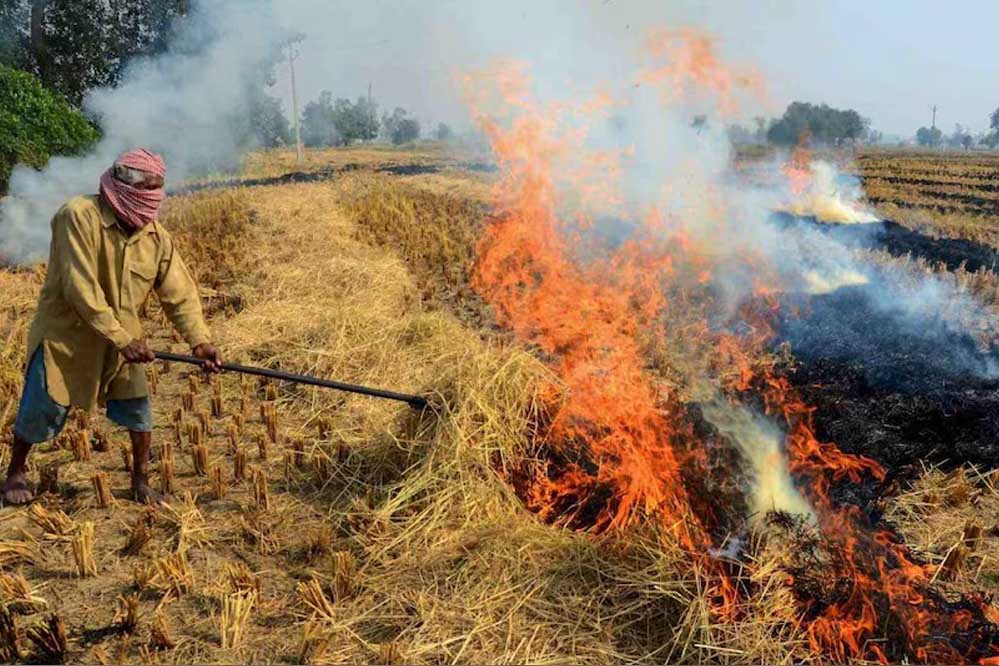 मध्य प्रदेश के वकील पराली जलाने वालों के केस नहीं लड़ेंगे, बार काउंसिल की बैठक में बड़ा फैसला