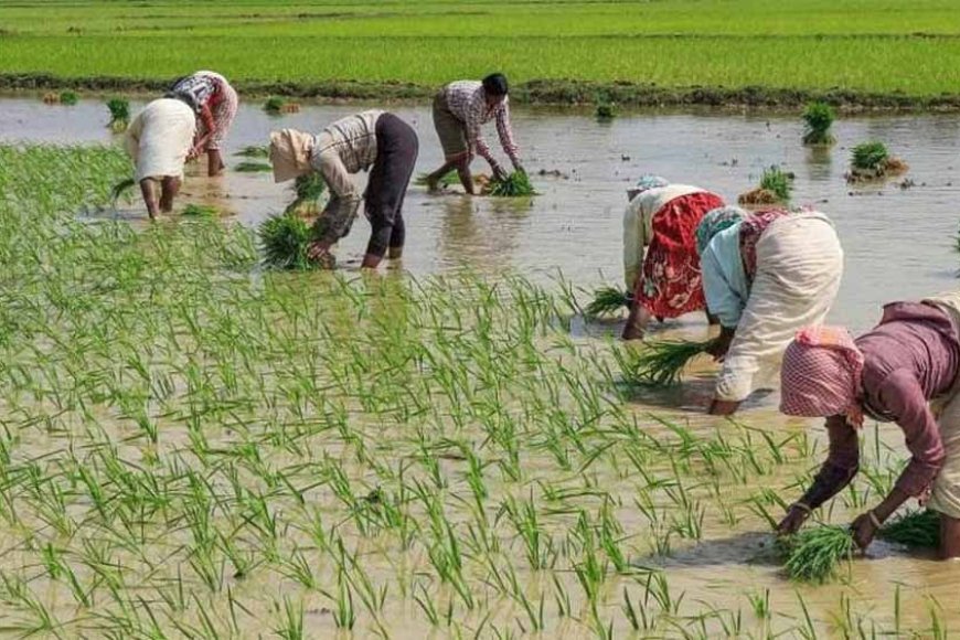 किसानों व उनकी फसल के लिए न्यूनतम समर्थन मूल्य का मुद्दा राज्यसभा में उठाया गया